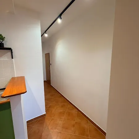 Prime Location Near Stadium & Downtown Lejlighed